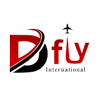 Dfly International logo