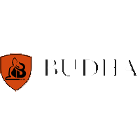 Budha College of Management logo