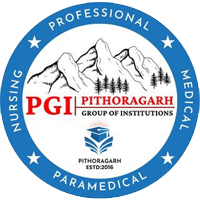 Pithoragarh Group Of Institutions logo
