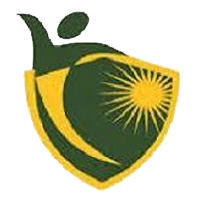 Vidhyanagari Group of Institutions logo