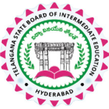 TSBIE logo