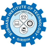 Subhash Institute of Technology logo
