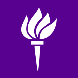 New York University Abu Dhabi logo